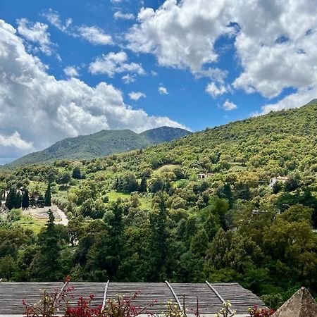 B&B Su Biancu - Sardinian Experience Urzulei Eksteriør bilde
